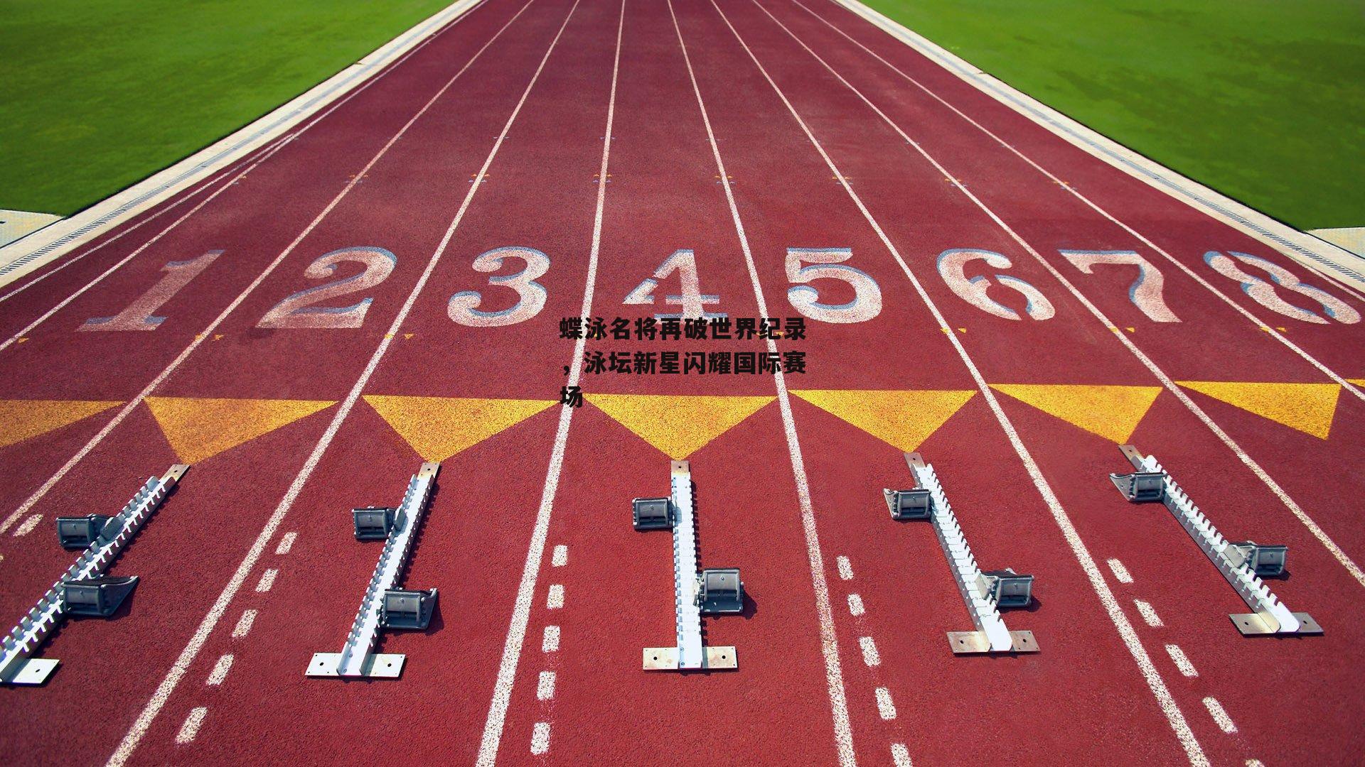 蝶泳名将再破世界纪录，泳坛新星闪耀国际赛场