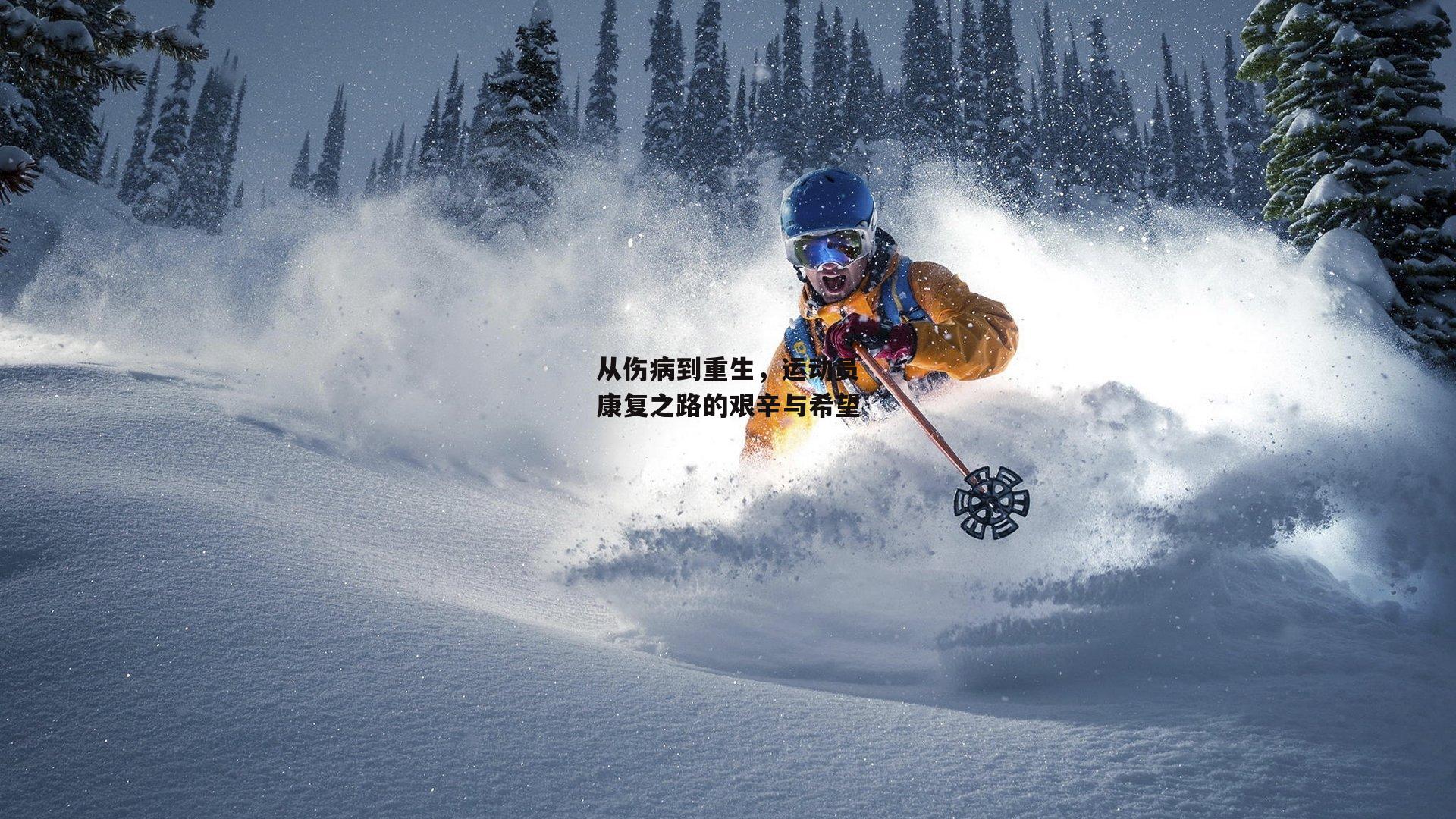 从伤病到重生,运动员康复之路的艰辛与希望