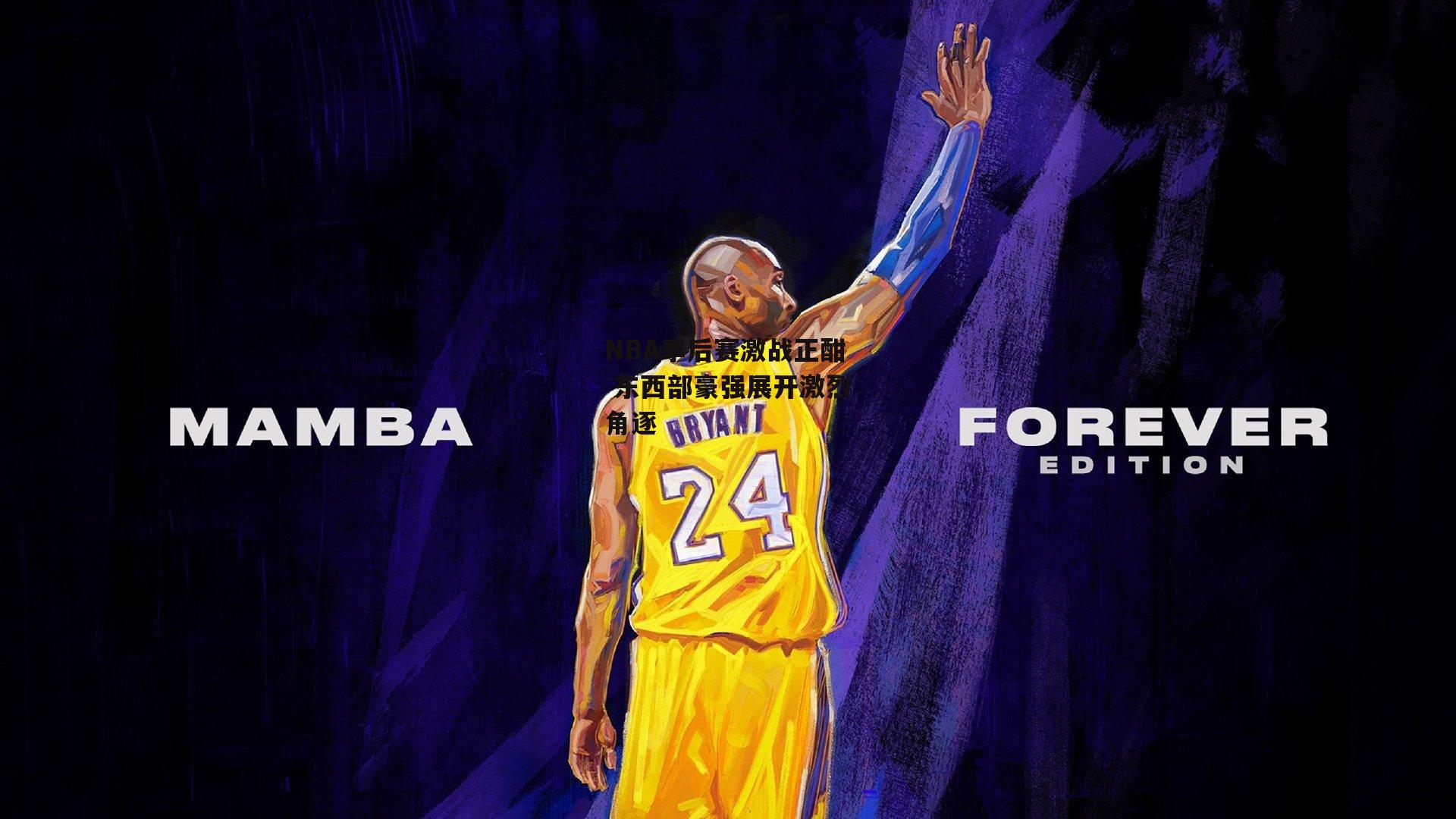 NBA季后赛激战正酣 东西部豪强展开激烈角逐