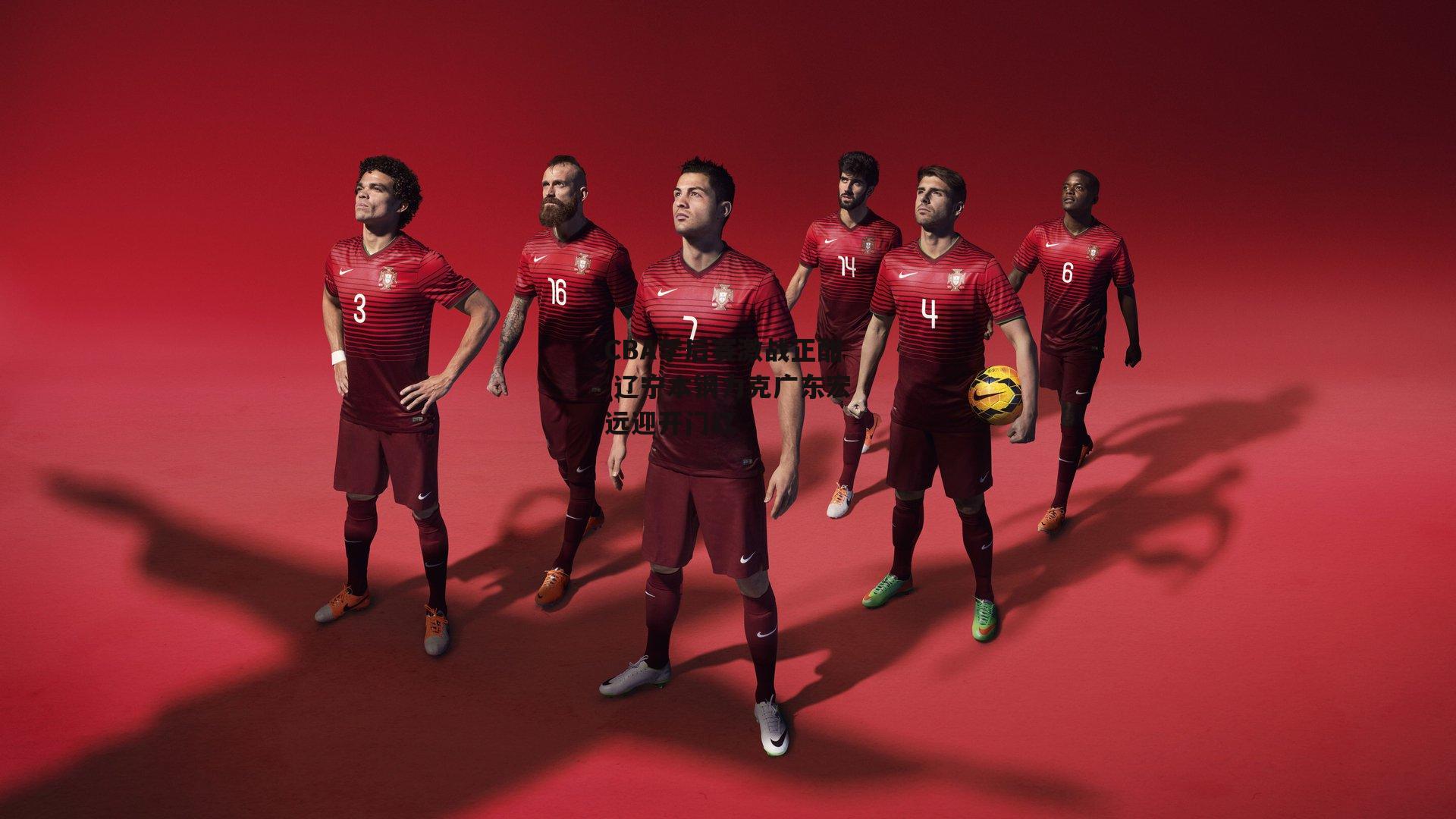 CBA季后赛激战正酣 辽宁本钢力克广东宏远迎开门红