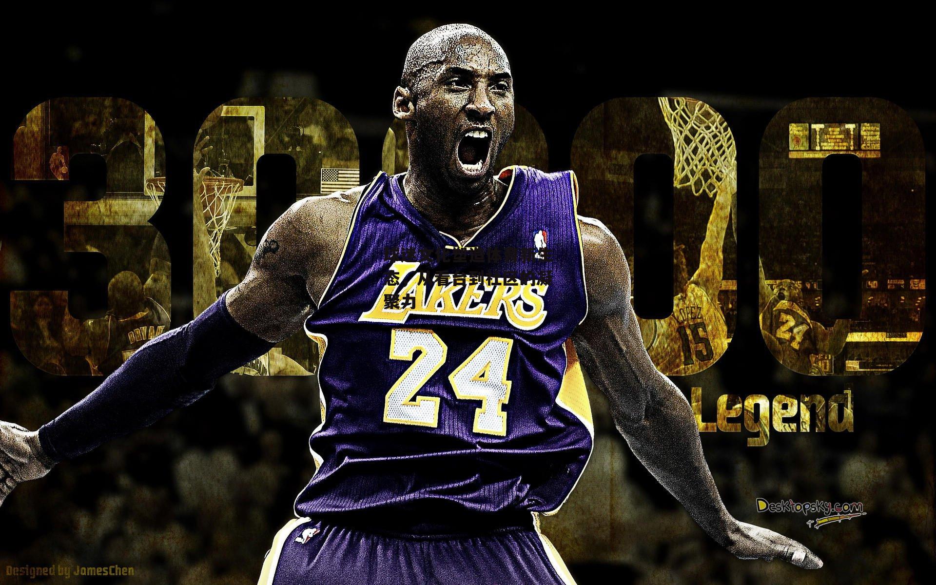 球迷文化塑造体育新生态,从看台到社区的凝聚力